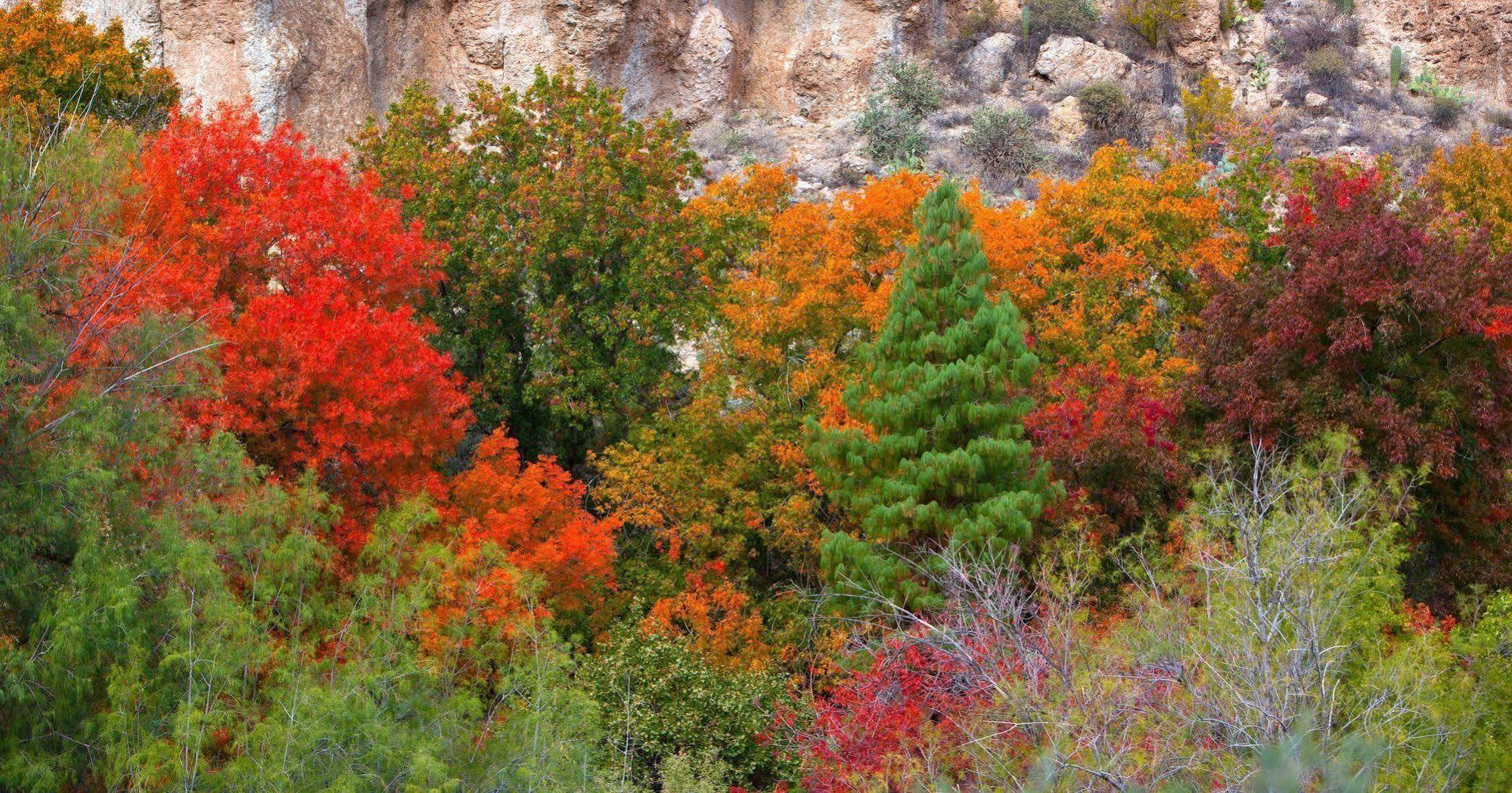 Holiday Inn Express Sedona - Oak Creek By Ihg Екстериор снимка